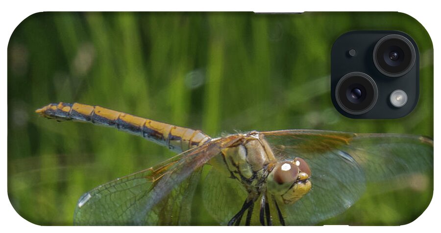 Dragonfly iPhone Case featuring the photograph Dragonfly 7 by Christy Garavetto