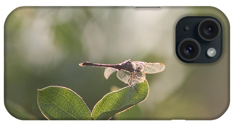 Insect iPhone Case featuring the photograph Dragonfly Basking in the Twilight by Robert Banach