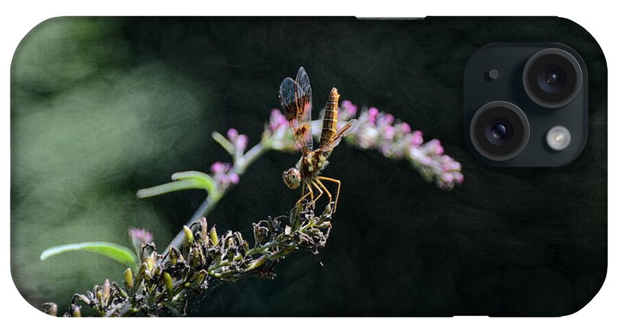 America iPhone Case featuring the photograph Dragonfly II by Robyn King