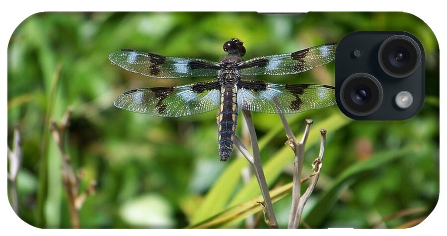Dragonfly iPhone Case featuring the photograph Dragonfly by Julie Rauscher