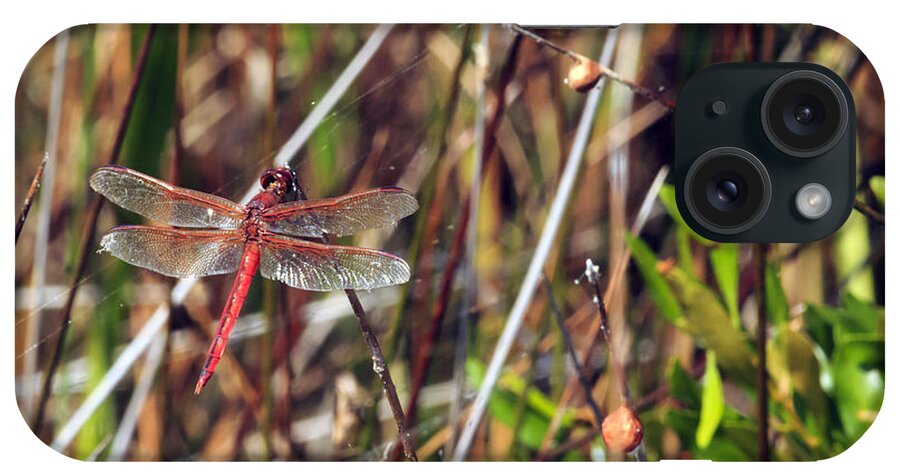 Holding iPhone Case featuring the photograph Dragonfly by Travis Rogers