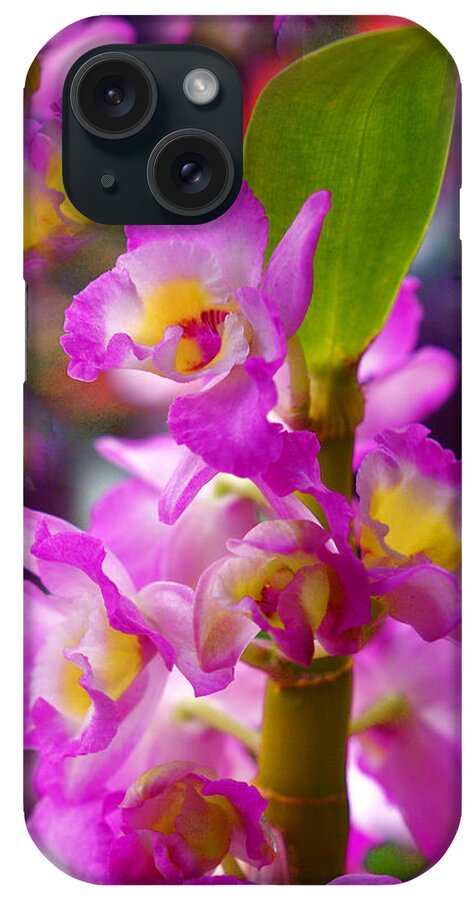 Orchids iPhone Case featuring the photograph Dream of Spring by Byron Varvarigos