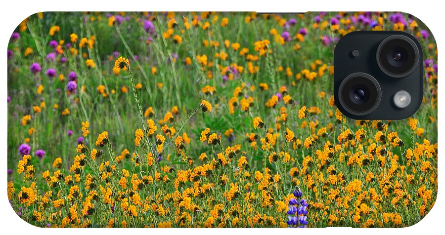 Wildflowers iPhone Case featuring the photograph Dreaming of Monet by Kathy Yates
