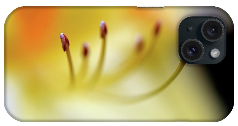 Terry Elniski Photography iPhone Case featuring the photograph Dreamscape Flowers - Azalea 1 by Terry Elniski
