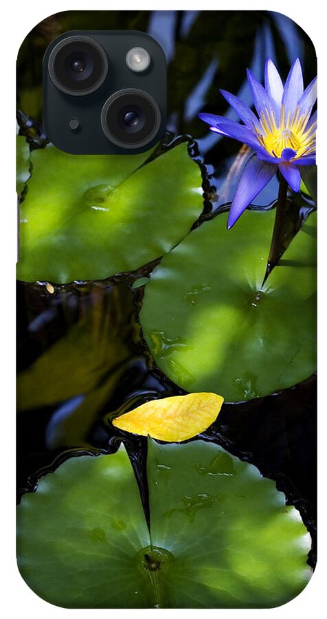 Lotus iPhone Case featuring the photograph Dreamy Lotus by Marilyn Hunt