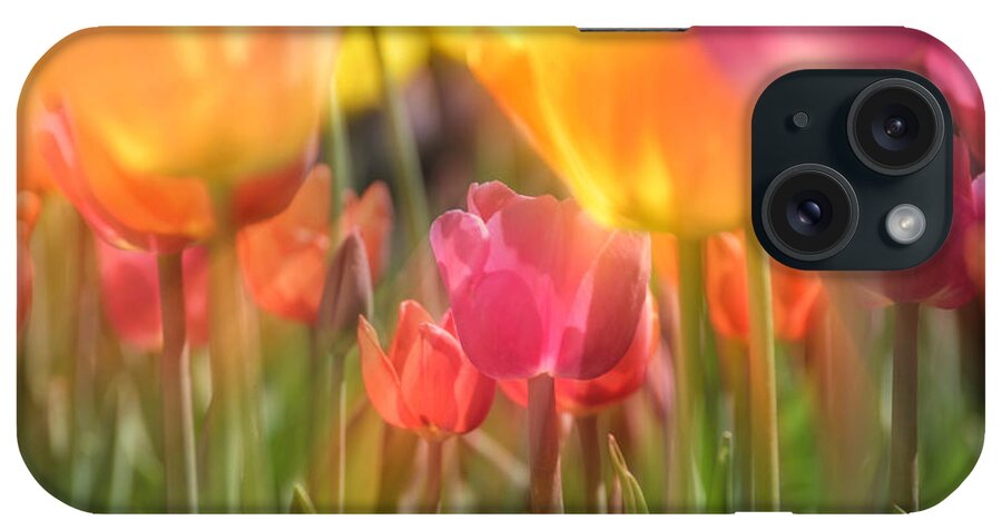 Tulip iPhone Case featuring the photograph Drenched In Sunlight by Andrea Platt