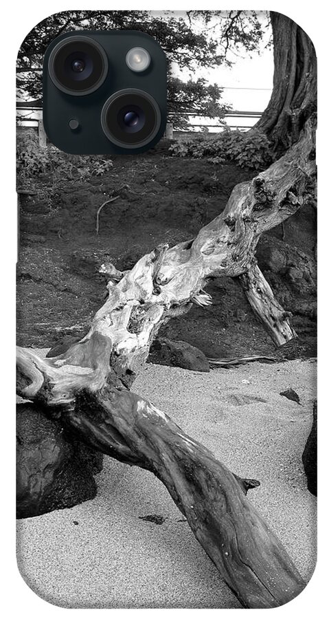 Wood iPhone Case featuring the photograph Drift Wood by Gary Gunderson