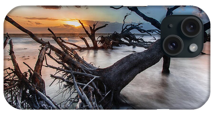 Landscape iPhone Case featuring the photograph Driftwood Beach 6 by Dillon Kalkhurst