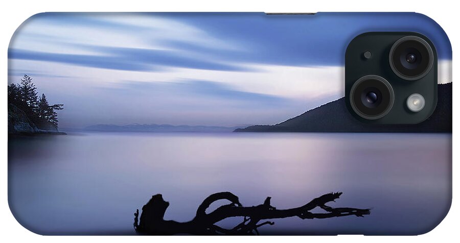 Beach iPhone Case featuring the photograph Driftwood by Jim Hatch