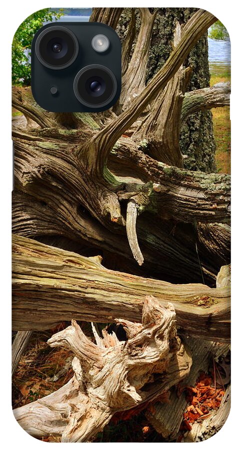 Driftwood iPhone Case featuring the photograph Driftwood by Lisa Wooten