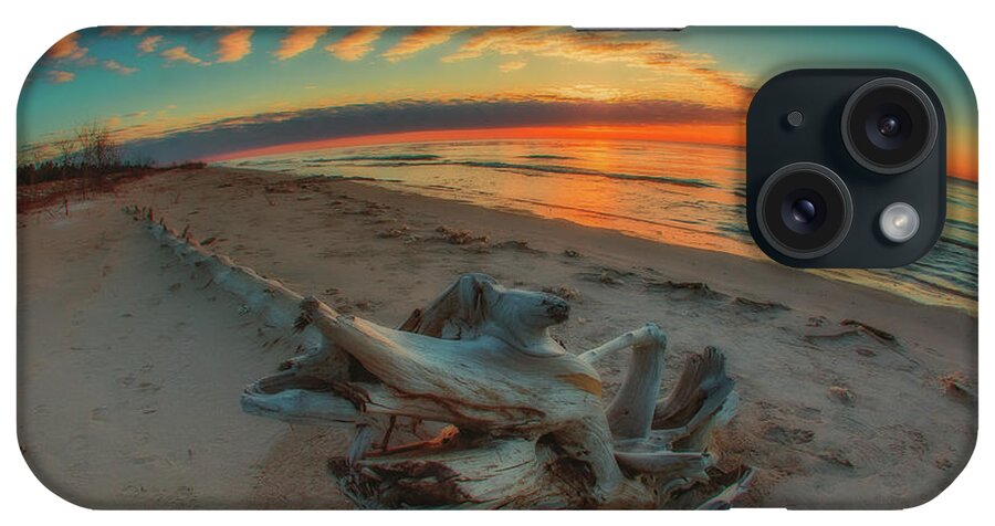 Wisconsin iPhone Case featuring the photograph Driftwood1 by David Heilman