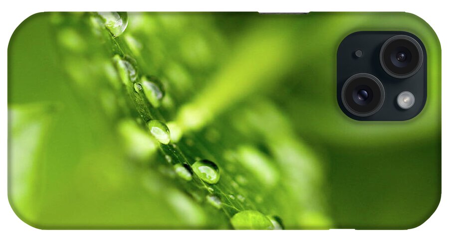 Raindrops iPhone Case featuring the photograph Droplets by Mary Anne Delgado