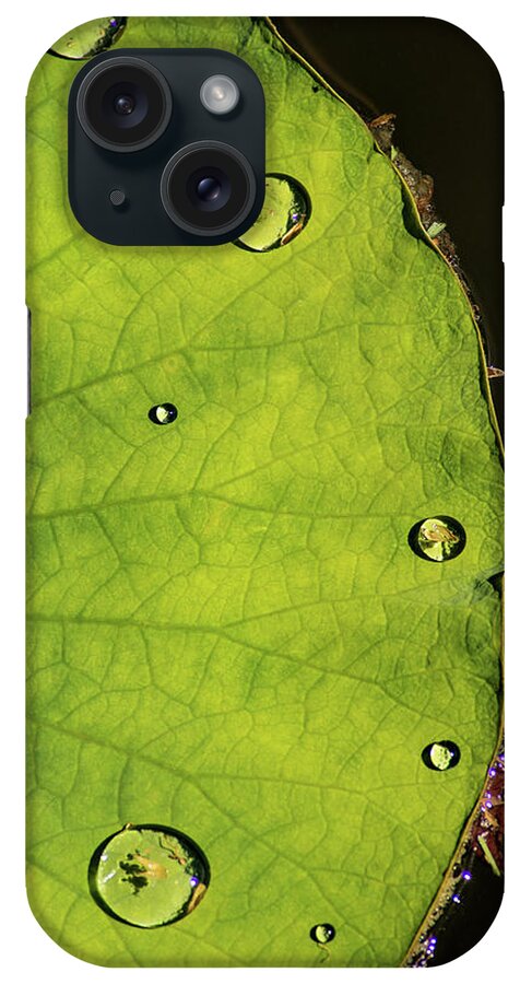 Drops iPhone Case featuring the photograph Drops by Don Johnson