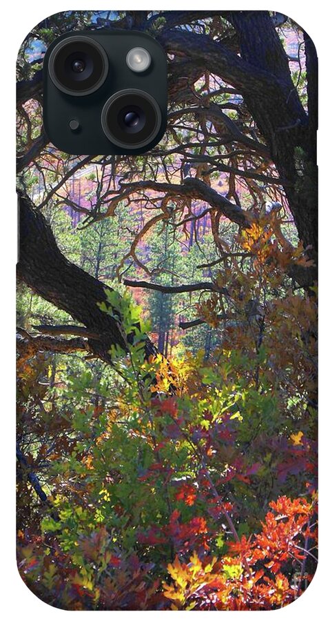 Drought Fall In The Mountains Looks Like Stained Glass Window iPhone Case featuring the digital art Drought Fall by Annie Gibbons