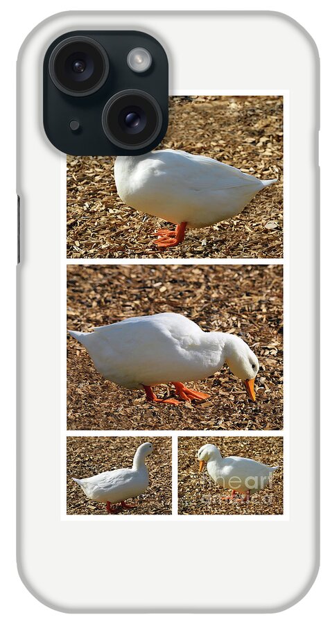 Masartstudio iPhone Case featuring the mixed media Duck Collage Mixed Media A51517 by Mas Art Studio