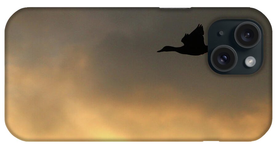 Duck iPhone Case featuring the photograph Duck Port Jefferson New York by Bob Savage