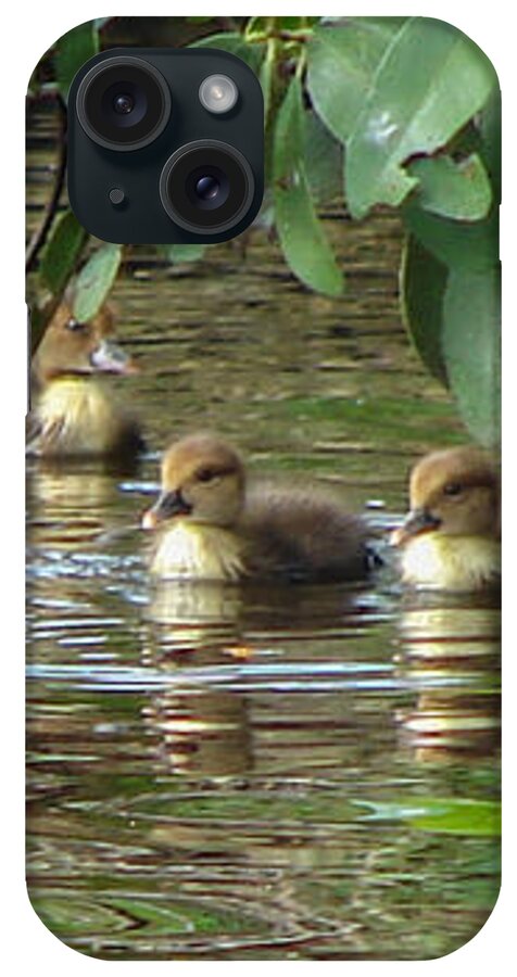 Duck iPhone Case featuring the photograph Ducklings by Carl Moore