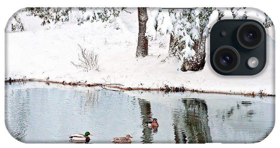 Ducks On The Pond iPhone Case featuring the photograph Ducks on the Pond by Gwen Gibson