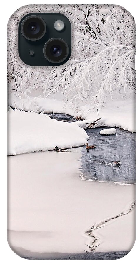 Ducks In The Winter Print iPhone Case featuring the photograph Ducks Winter Play land Print by Gwen Gibson