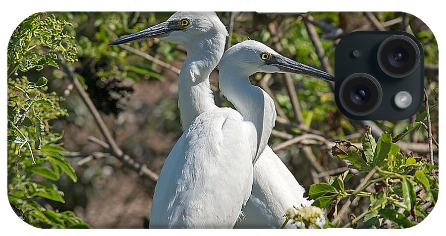 Wildlife iPhone Case featuring the photograph Dueling Egrets by Kenneth Albin