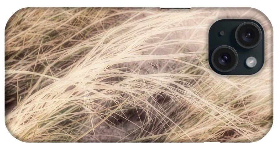 Grass iPhone Case featuring the photograph Dune Grass nature photography by Ann Powell