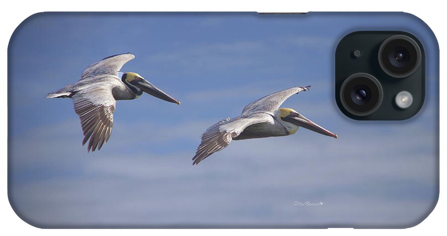 Pelicans iPhone Case featuring the photograph Dynamic Duo by Phil Mancuso