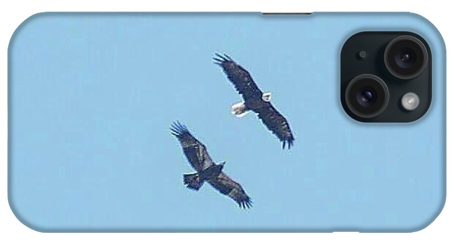 Bald Eagles iPhone Case featuring the photograph E9 and parent soaring preparing for a new adventure by Liz Grindstaff