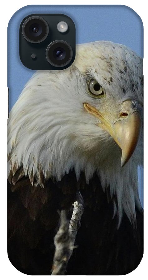 Bald Eagle iPhone Case featuring the photograph Eagle Eye by Robert Buderman