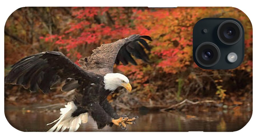 Eagle iPhone Case featuring the photograph Eagle Fishing Panorama by Duane Cross