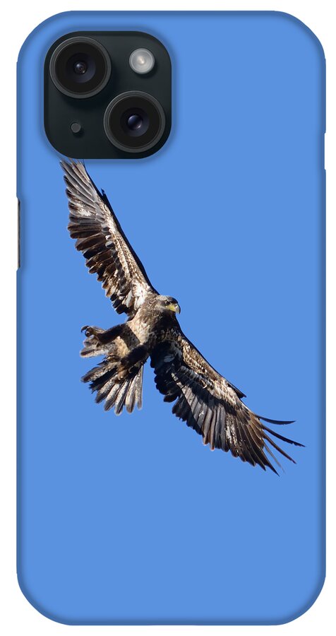 Eagle iPhone Case featuring the photograph Eagle by Greg Norrell