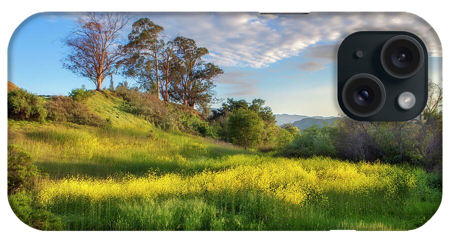 Landscape iPhone Case featuring the photograph Eagle Grove at Lake Casitas in Ventura County, California by John A Rodriguez