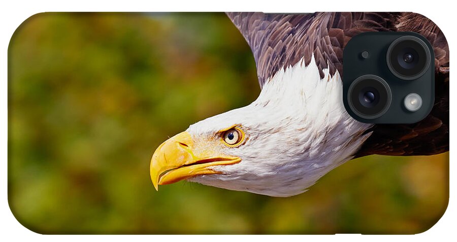 Bald iPhone Case featuring the photograph Eagle in flight, closeup by Nick Biemans