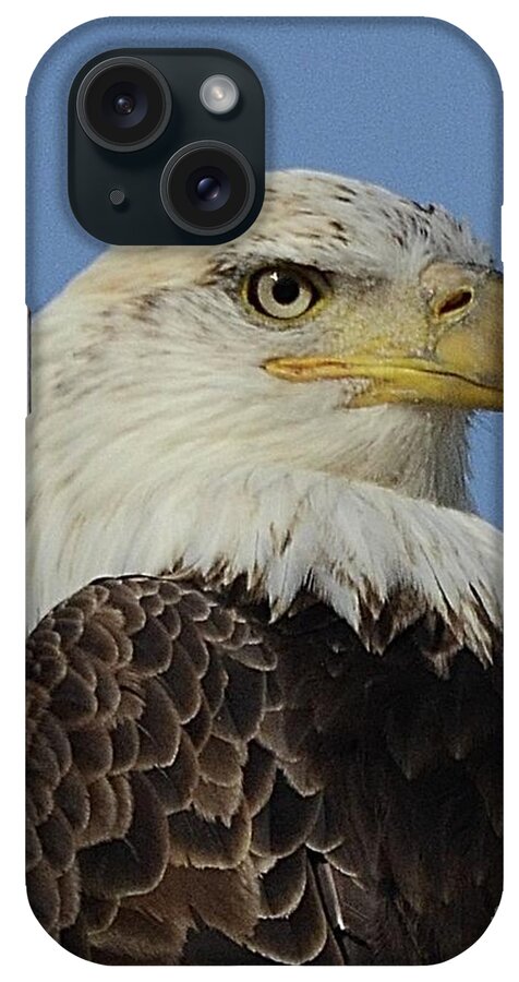 Bald Eagle iPhone Case featuring the photograph Eagle Profile by Robert Buderman