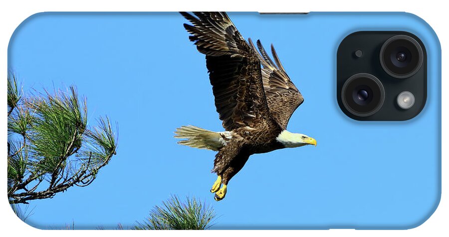 Raptor iPhone Case featuring the photograph Eagle Series 1 2017 by Deborah Benoit