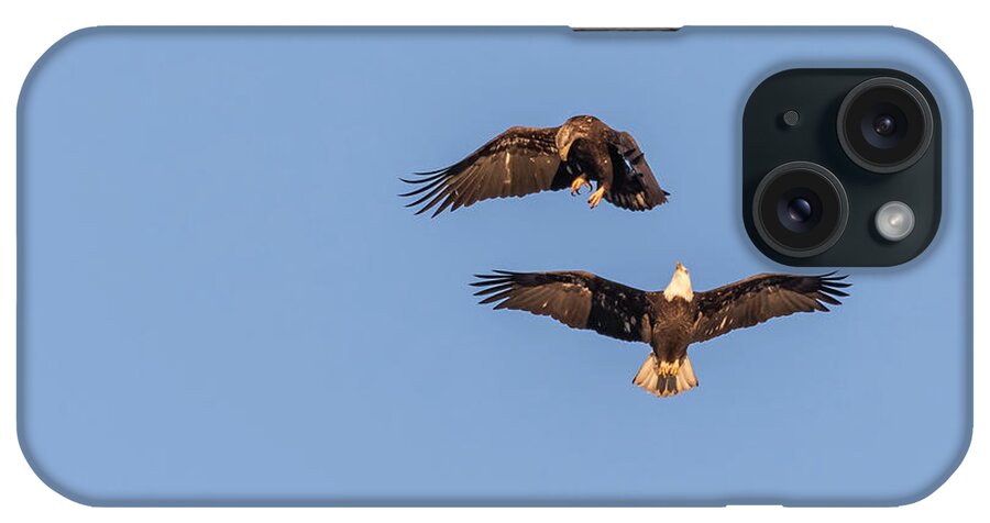 American Bald Eagle iPhone Case featuring the photograph Eagles Dancing In Air by Thomas Young