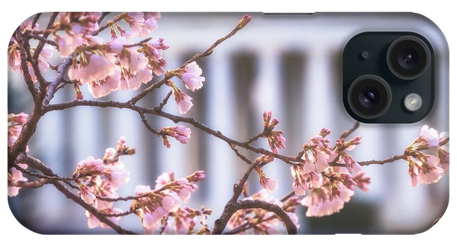 Washington Dc iPhone Case featuring the photograph Early Bloom by Edward Kreis