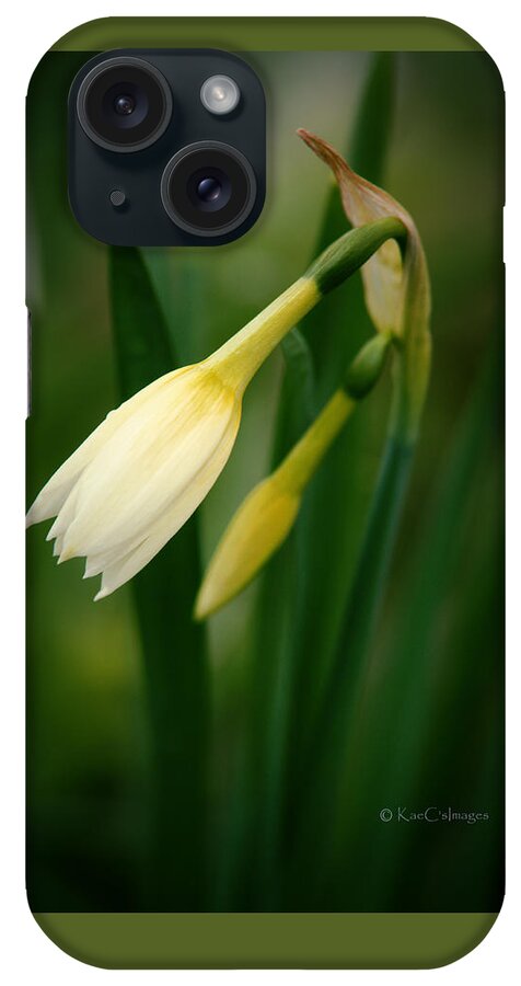 Flower iPhone Case featuring the photograph Early Bloomer by Kae Cheatham