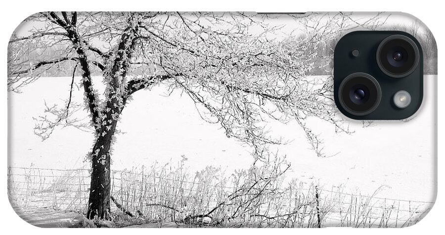Canada iPhone Case featuring the photograph Early Frost by Doug Gibbons