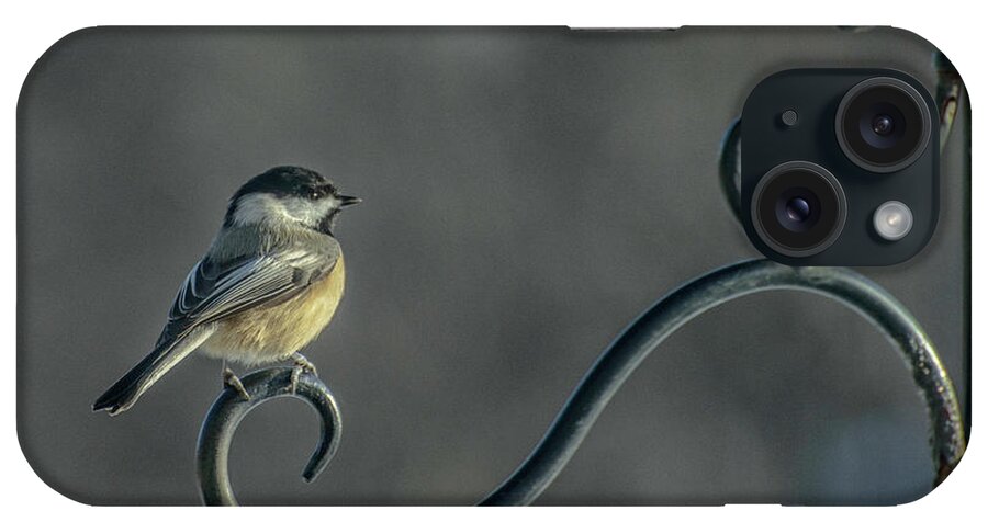  iPhone Case featuring the photograph Early Morning At The Feeder by Paul Vitko
