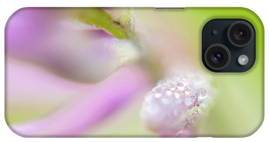 Dew_drops iPhone Case featuring the photograph Early Morning Dew Drops by Jelieta Walinski