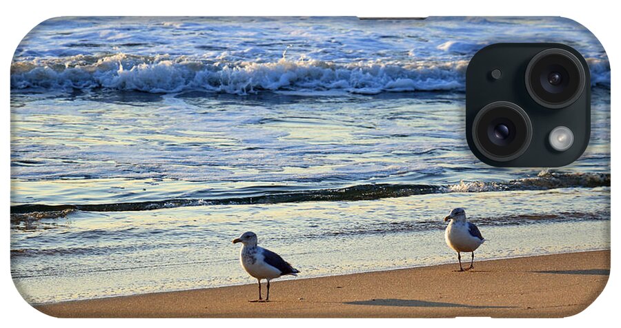 Landscape iPhone Case featuring the photograph Early Morning Gull Pair by Mary Haber