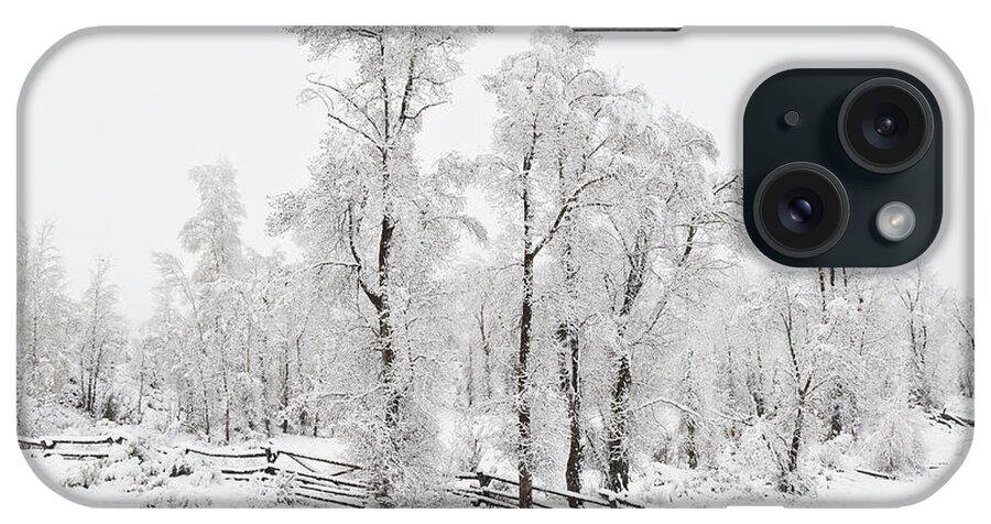 Trees iPhone Case featuring the photograph Spring in Wyoming by John Christopher