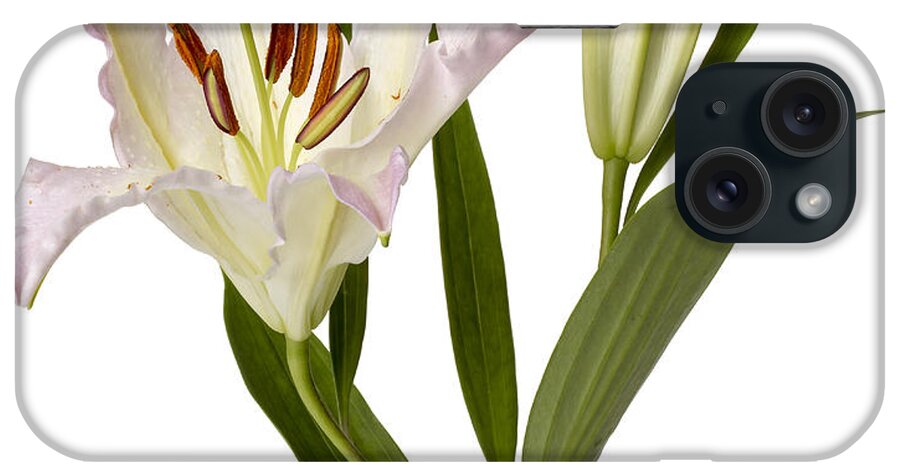 Easter Lilly iPhone Case featuring the photograph Easter Lilly by Tony Cordoza