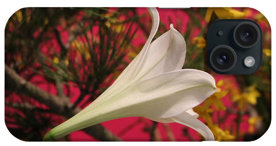 Easter iPhone Case featuring the photograph Easter Lily Without Text by Living Color Photography Lorraine Lynch