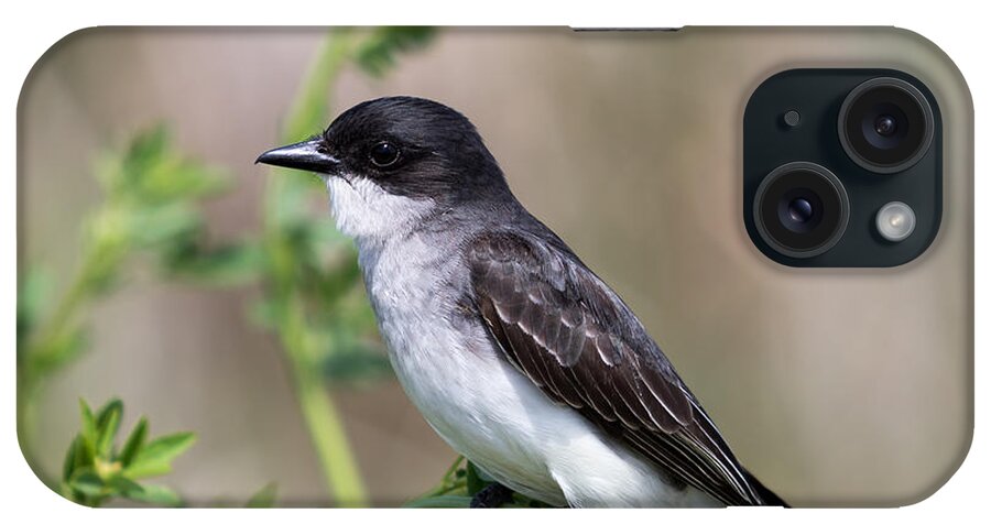 Art iPhone Case featuring the photograph Eastern Kingbird by Phil Spitze