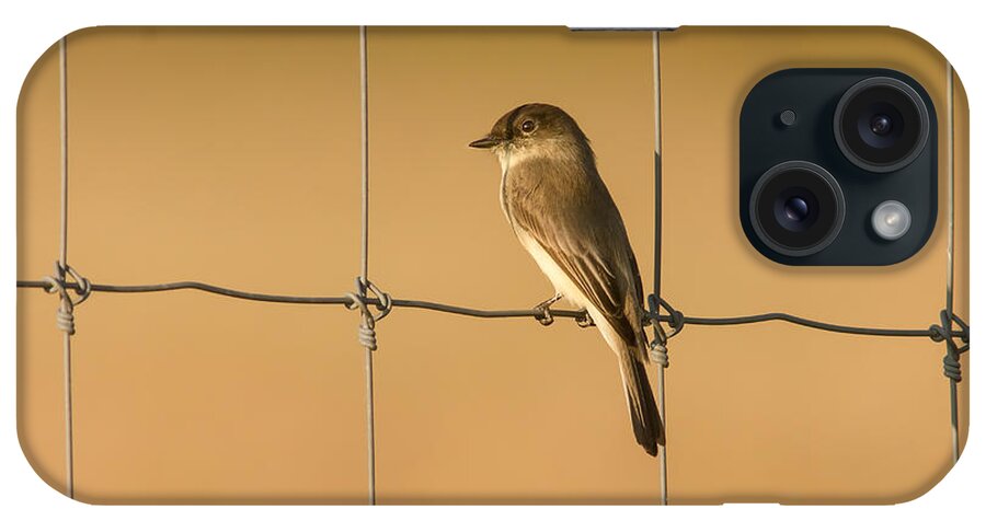 Wildlife iPhone Case featuring the photograph Eastern Phoebe On Phence by Robert Frederick