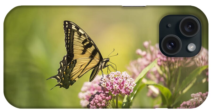 Eastern Tiger Swallowtail iPhone Case featuring the photograph Eastern Tiger Swallowtail 1-2015 by Thomas Young