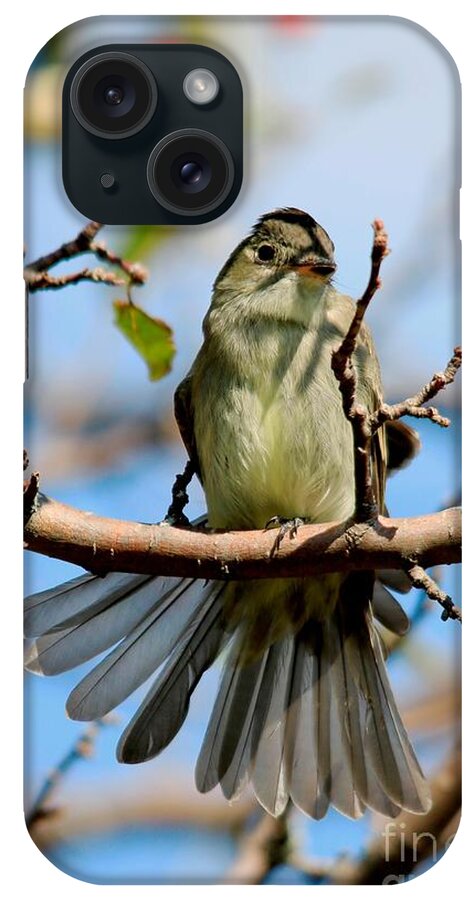 Mccombie iPhone Case featuring the photograph Eastern Wood-Pewee by J McCombie