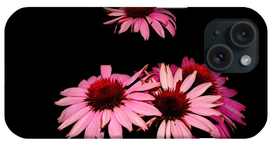 Echinacea iPhone Case featuring the photograph Echinacea pop by Susan Baker