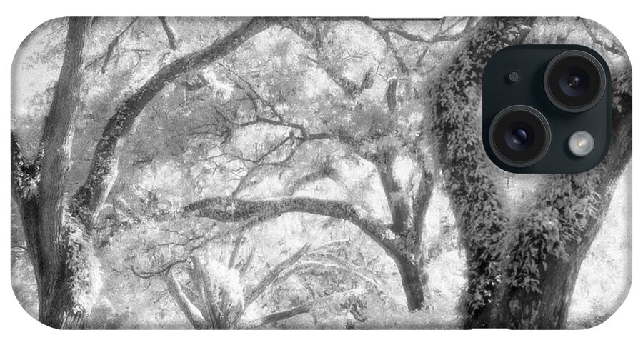 Black And White iPhone Case featuring the photograph Eden Plantation Live Oaks by John Harmon